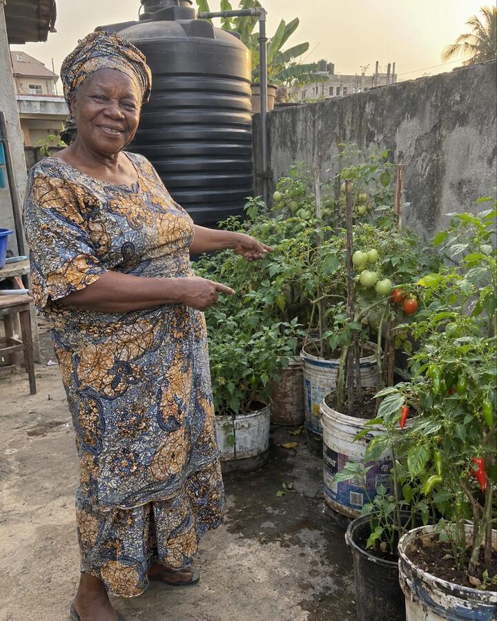 A grandmother pointing at tomato plants in her Lagos garden